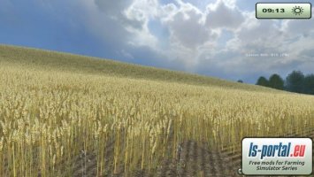 Wheat texture