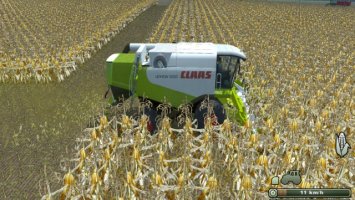 Maize texture LS2013