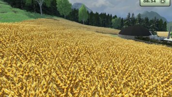 Grass, wheat, maize, rape, barley and grubber textures