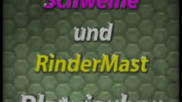 Rinder SchweineMast v3.0 Platzierbar