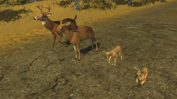 Forest animals (placeable)