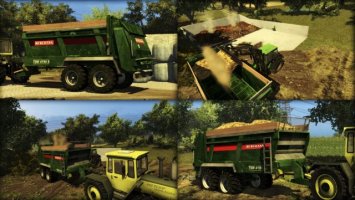 Bergmann TSW 4190S MR Used Skin ls2013