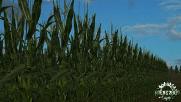 Realna tekstura kukurydzy HD v1.1 ls2013