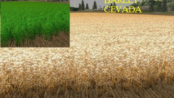 Wheat barley maize canola textures LS15