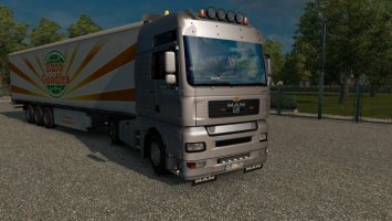 Man Tga ets2