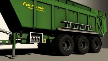 Fortuna FTM 300/8.0 LS15