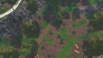 Forest roads LS15