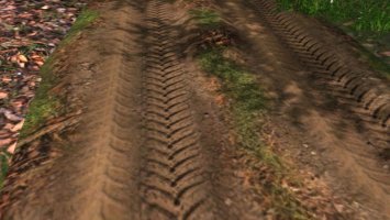 Forest roads LS15