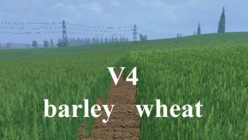 Wheat and barley texture v4 LS15