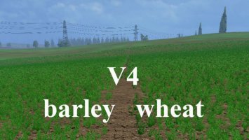 Wheat and barley texture v4 LS15