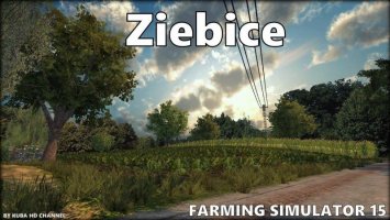 Ziebice ls15