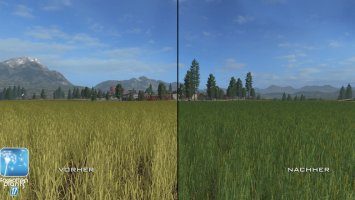 Forgotten Plants - Wheat / Barley FS17