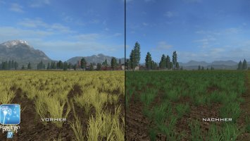Forgotten Plants - Wheat / Barley FS17