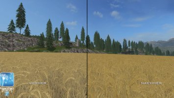 Forgotten Plants - Wheat / Barley FS17