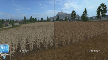 Forgotten Plants - Maize FS17
