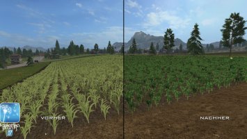 Forgotten Plants - Maize FS17