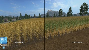 Forgotten Plants - Maize FS17
