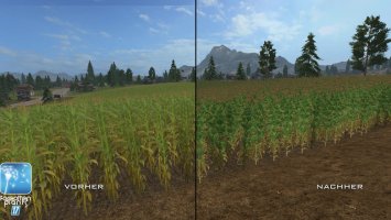 Forgotten Plants - Maize FS17