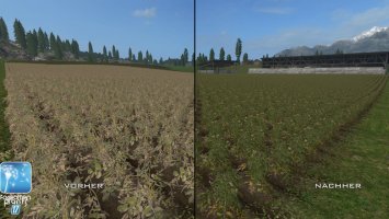 Forgotten Plants - Sugerbeet / Potatoes FS17