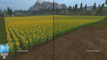 Forgotten Plants - Sunflowers FS17