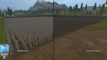 Forgotten Plants - Sunflowers FS17