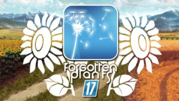 Forgotten Plants - Sunflowers fs17