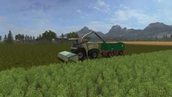 Maple Creek FS17