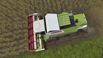 Claas C600 Sunflower FS17