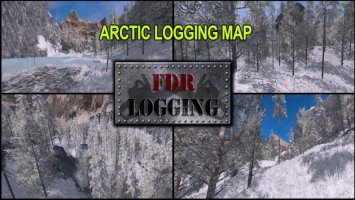 FDR LOGGING - ARCTIC LOGGING MAP FS17