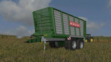 Bergmann THW 30 fs17