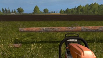 Removable Hedges FS17