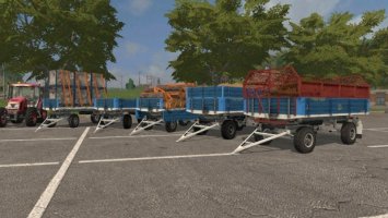 BSS P53S 5t FS17