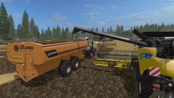 Coolamon Chaser Bins 45T and 60T FS17