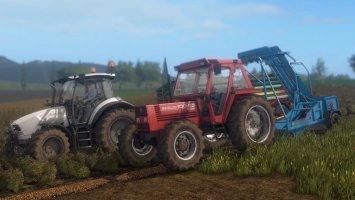 Krukowiak Z437 FS17