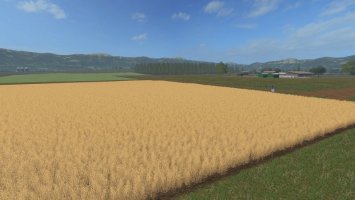 Seasons GEO: U.S. Midwest FS17