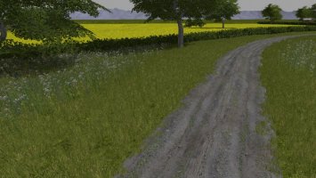 Dirt Track Road Kit FS17