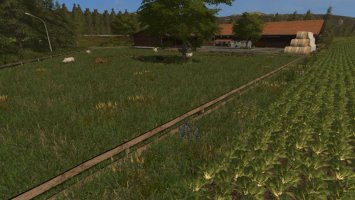 Kleinseelheim FS17