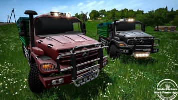 Mersedes Zetros FS17