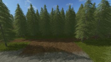 Plantable Spruce Trees FS17