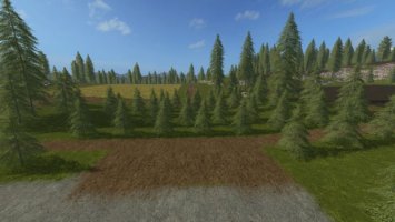 Plantable Spruce Trees