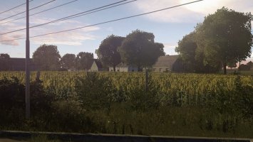 Lehndorf by LS LPgist FS17