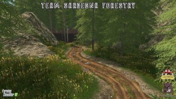 TEAM SARDEGNA FORESTRY - SEASON READY FS17