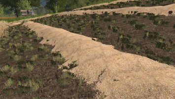 Straw texture fs17