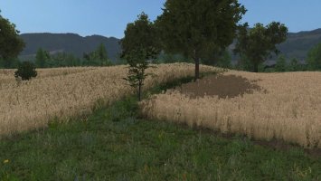 Bizonowo v3 FS17