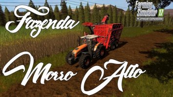 FAZENDA MORRO ALTO PLATINUM fs17