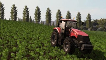 FAZENDA MORRO ALTO PLATINUM FS17