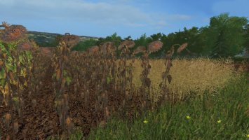 Forgotten Plants - Texturenset v1.1 FS17