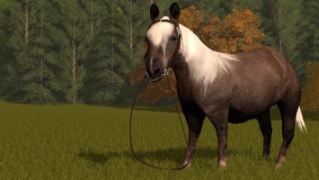 Reitbares Pony FS17