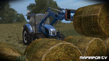 Strawbale texture fs17