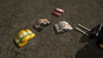 Bagged Products FS17